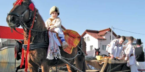 Bulgarii şi-au aranjat caii pentru un obicei vechi de sute de ani   