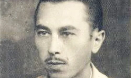 Nicolschi la tinerete1 jpg