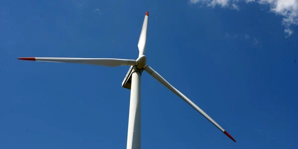 România are cel mai mare potenţial eolian din sud-estul Europei