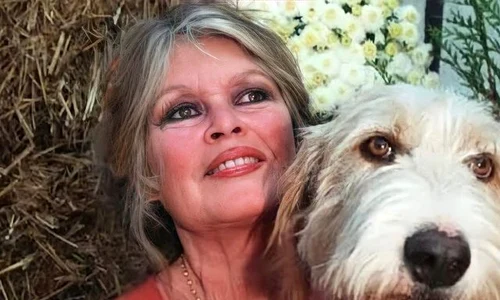 1 brigitte bardot covid vaccinare 5 jpg jpeg