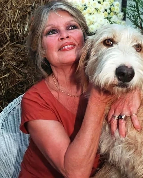 1 brigitte bardot covid vaccinare 5 jpg jpeg