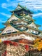 osaka jpeg