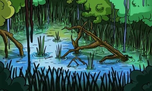 test jpg