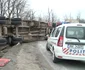 porci rasturnati