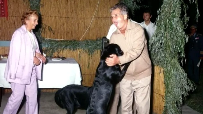 Câinii lui Ceaușescu.