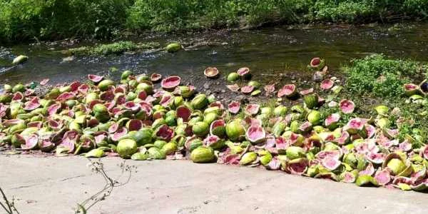 pepeni