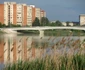Crisuri