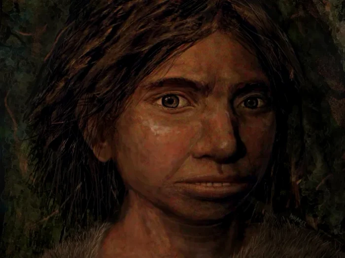 Cum ar fi arătat o femeie Denisovan, potrivit unui artist. Foto Business Insider / Maayan Harel