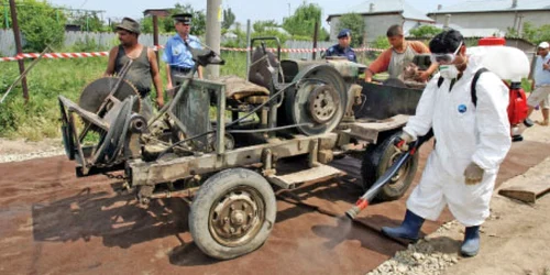 Pentru lucrările de dezinfecţie, firma ieşeană Lumi SRL  a primit, în 2005 şi în 2006, şase milioane de euro 