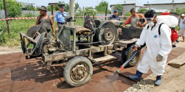 Pentru lucrările de dezinfecţie, firma ieşeană Lumi SRL  a primit, în 2005 şi în 2006, şase milioane de euro 