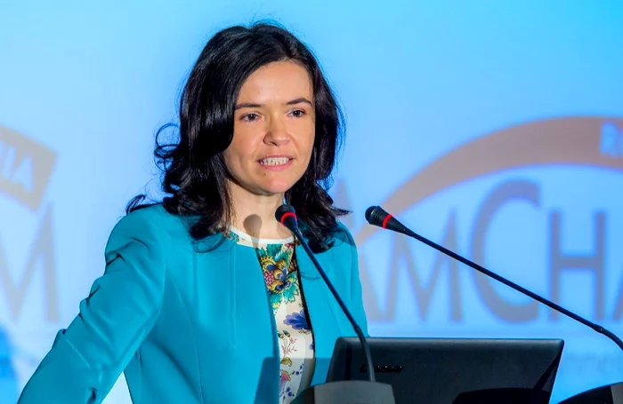 Daniela Nemoianu este vicepreședinte AmCham
