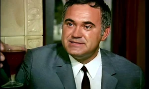 Dem Radulescu Porecla Bibanu Teatru Film jpeg