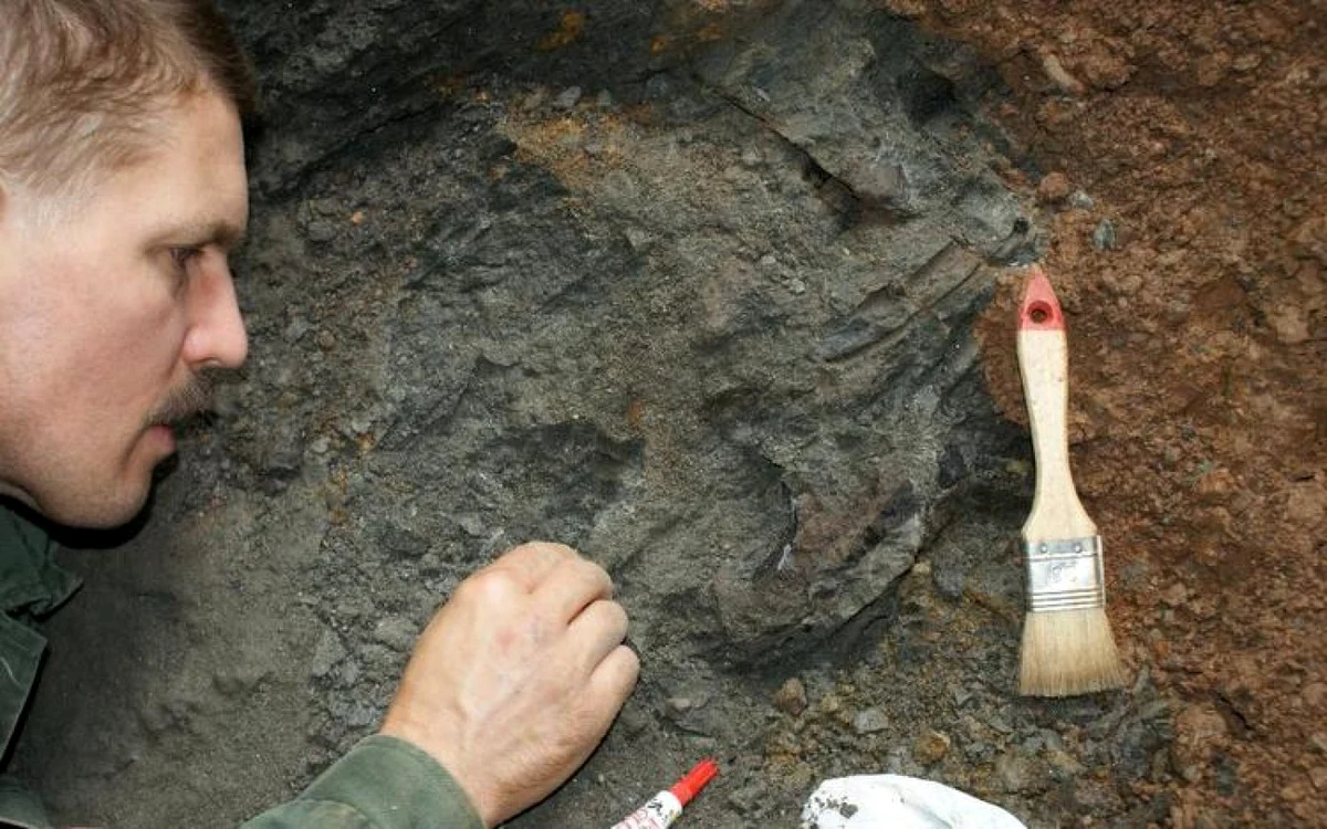 Cercetările efectuate de geologi şi paleontologi. Foto: Geoparcul Internaţional UNESCO – Ţara Haţegului.