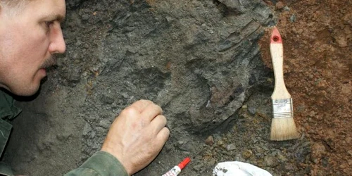 Cercetările efectuate în teren de către echipa internaţională de geologi şi paleontologi foto geoparcul dinozaurilor