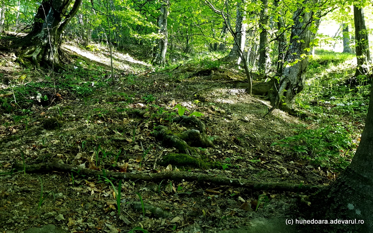 Locul unde ar fi fost valurile de pământ de la Tapae. Foto: Daniel Guță