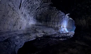 Captură de ecran din 2025 03 08 la 13 46 28 png