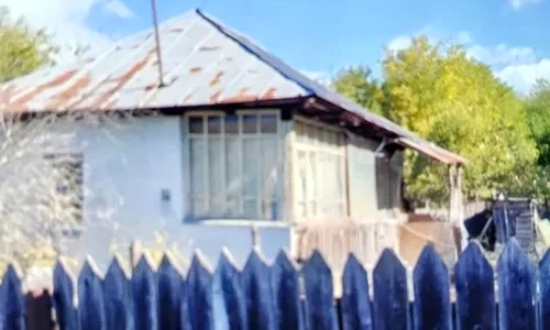 casa tetoiu  jpg