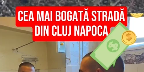 apartamenet vintage cluj png
