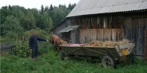 Ţigări de contrabandă în căruţă