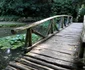 parcul dendrologic din simeria foto daniel guta adevarul