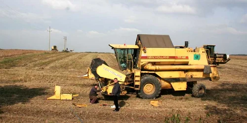 Cei mai puţini salariaţi sunt în agricultură