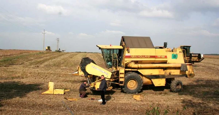 Cei mai puţini salariaţi sunt în agricultură