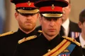 Printul William Printul Harry Foto Profimedia