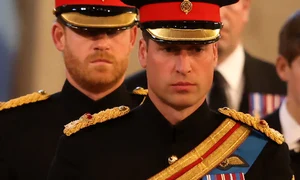 Printul William Printul Harry Foto Profimedia