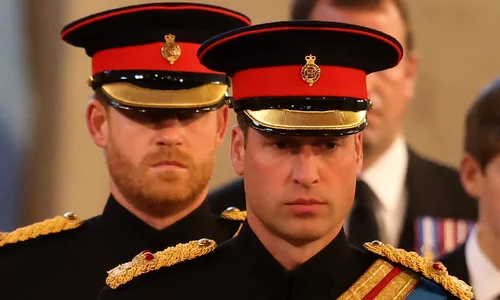 Printul William Printul Harry Foto Profimedia