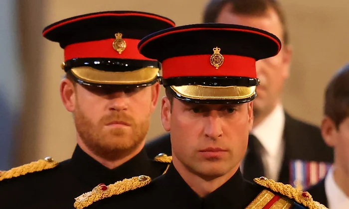 Printul William Printul Harry Foto Profimedia