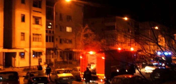 Incendiul a fost stins în 30 de minute