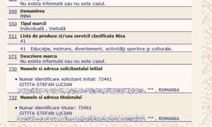 Lucian Gîtiţă a încercat să înregistreze marca &quot;Inna&quot; în 2009, dar nu a plătit taxa jpeg