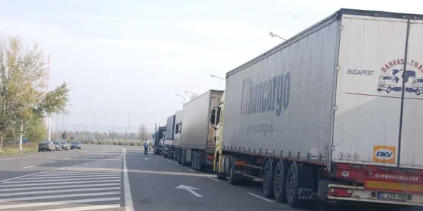 Vama Albita politisti audieri