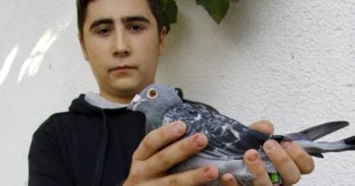 Sibiu: Adrian Mărgineanu, cel mai bun crescător de porumbei