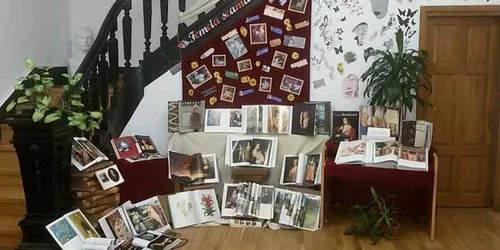 expozitie