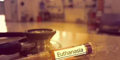 eutanasia eutanasie seringa foto shutterstock