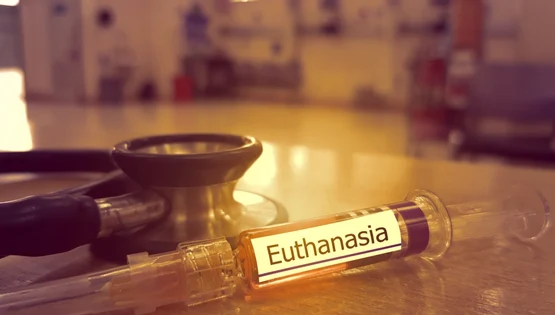 eutanasia eutanasie seringa foto shutterstock