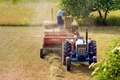 muncitori agricultura foto pixabay