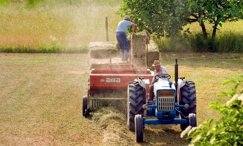 muncitori agricultura foto pixabay