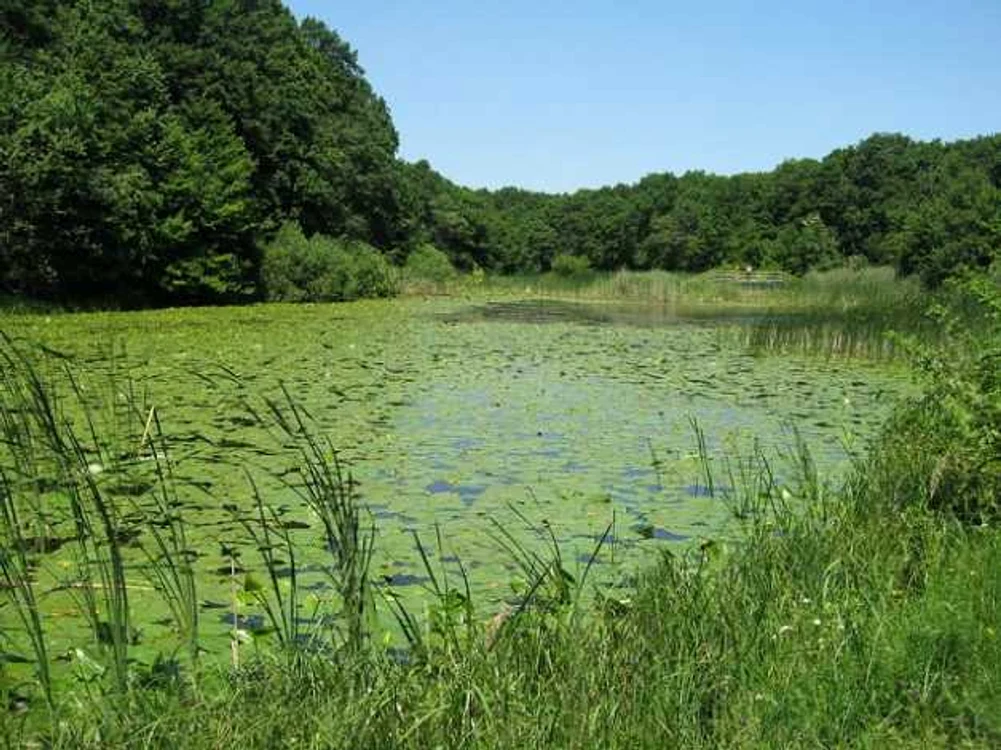 lacul
