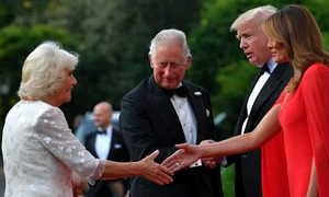 camilla melania main jpeg