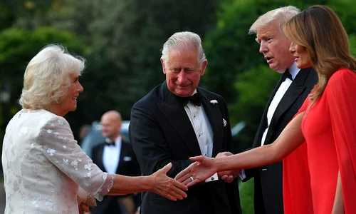 camilla melania main jpeg