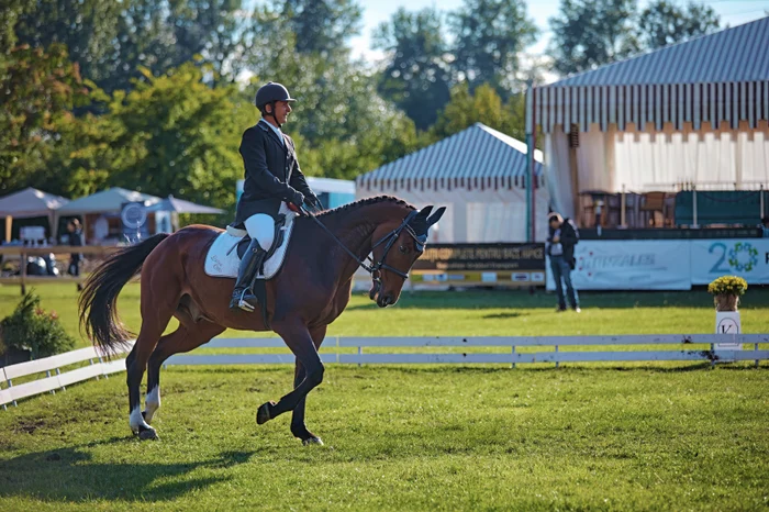 A opta ediție a Karpatia Horse Show FOTO Ștefan Stoica