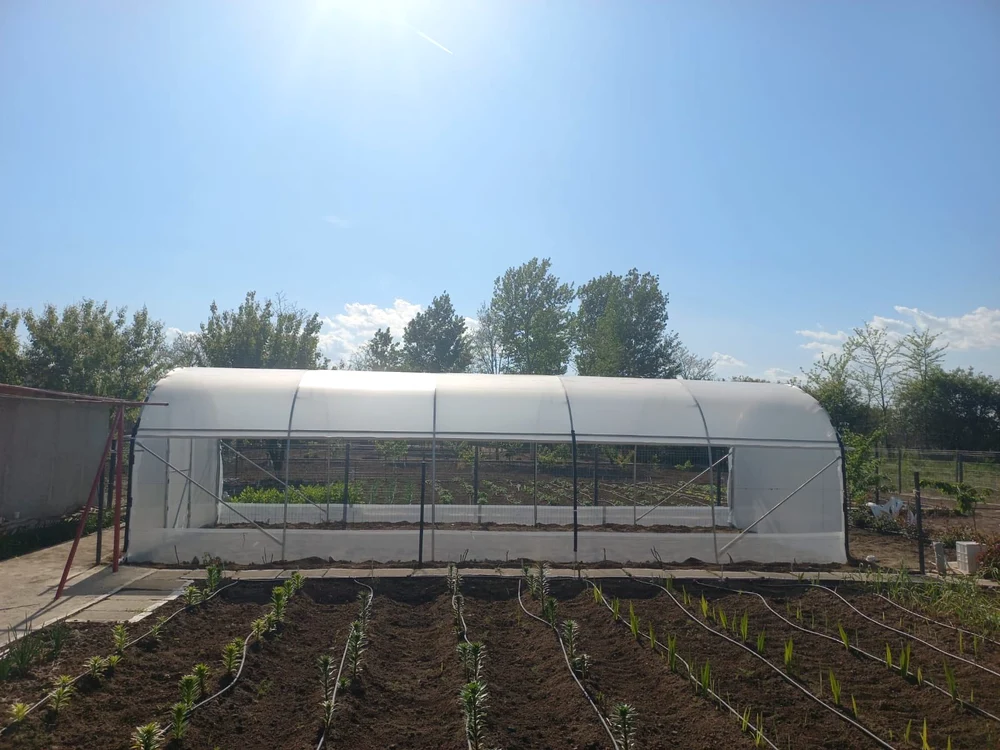 Un solar bine îngrijit