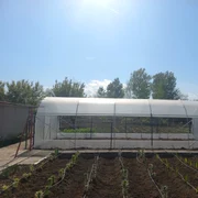 solar 2 Foto Bacas Farm jpg