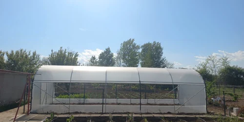 solar 2 Foto Bacas Farm jpg