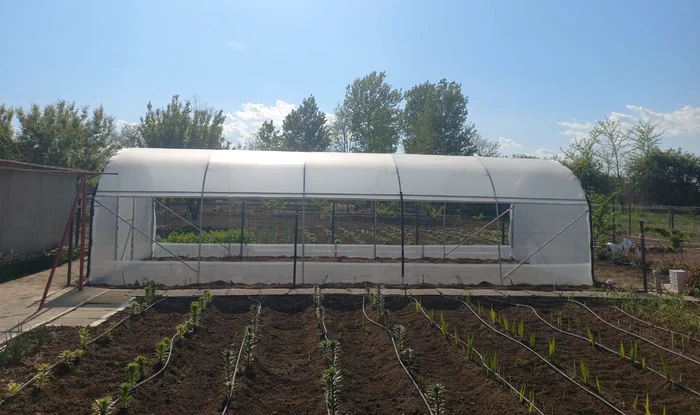 Amendă 100.000 lei pentru românii care își construiesc solar în grădină / foto: arhiva Click!