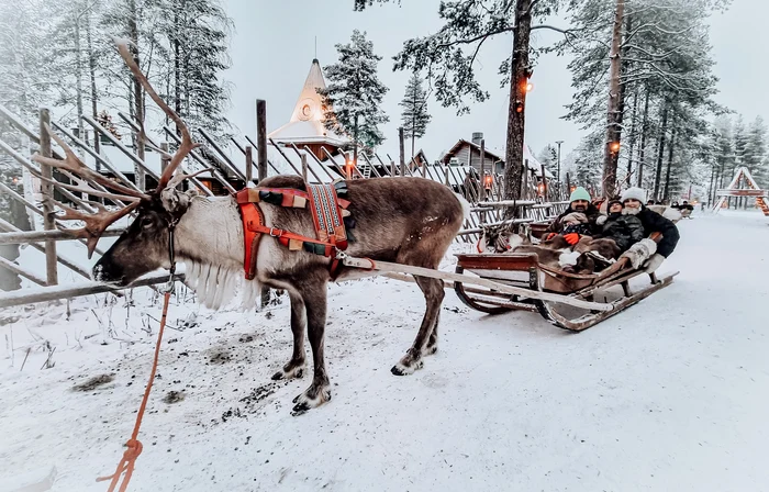 Dana Rogoz și familia ei, în Laponia. / Foto: arhivă personală