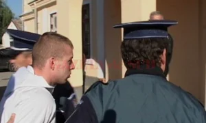 nicolae andrei zis impresie jpeg