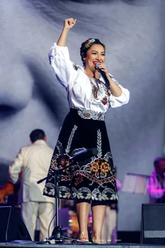 Andra în concert la Londra, Arhiva artistei